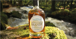 Moorland Apple Brandy 50cl (20%)